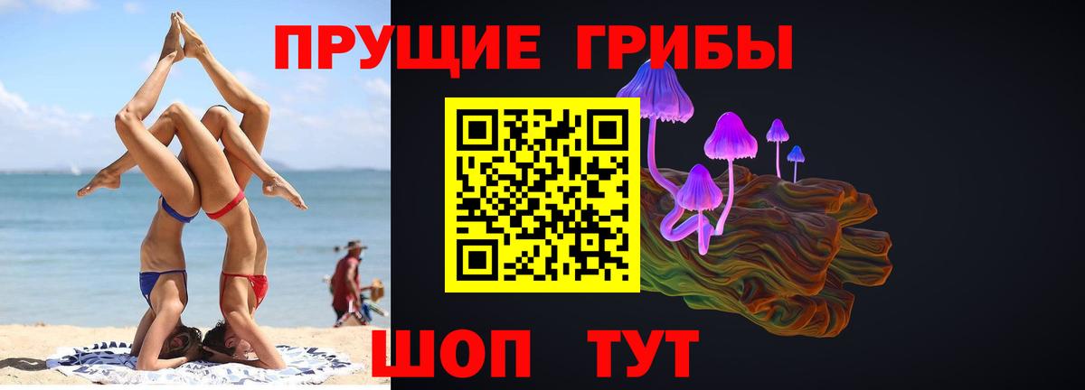 Кудрово  Псилоцибиновые грибы мухоморы  Вход с VPN 