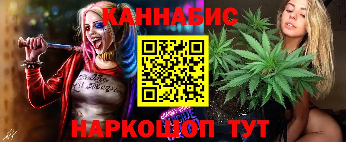 Кудрово  Бошки марихуана White Widow  Вход с VPN  Шишки марихуана Amnesia  Шишки марихуана Bruce Banner 